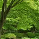 Seconde Nature Jardin Paysage Forêt