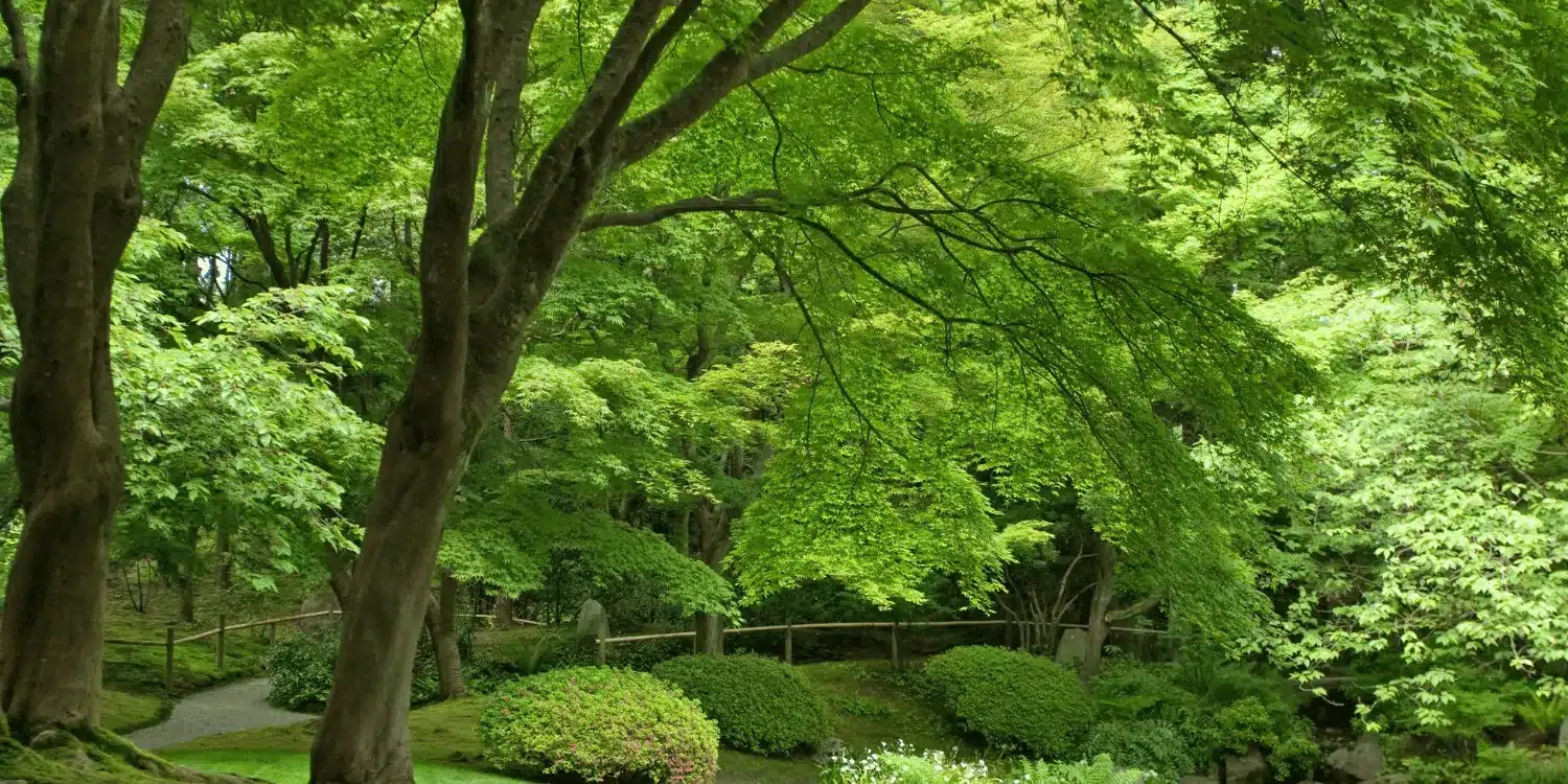 Seconde Nature Jardin Paysage Forêt