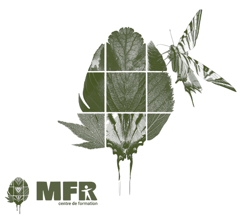 MFR Prendre son envol