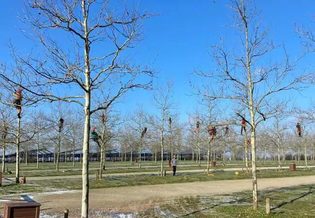 arboristes grimpeurs en formation aux mfr rhone ciel bleu ar