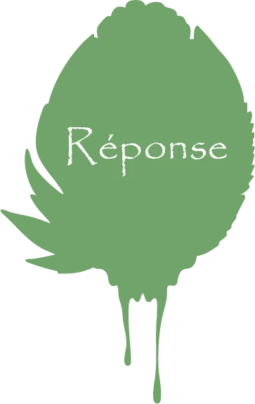 mfr rhone reponse defis jeux nature